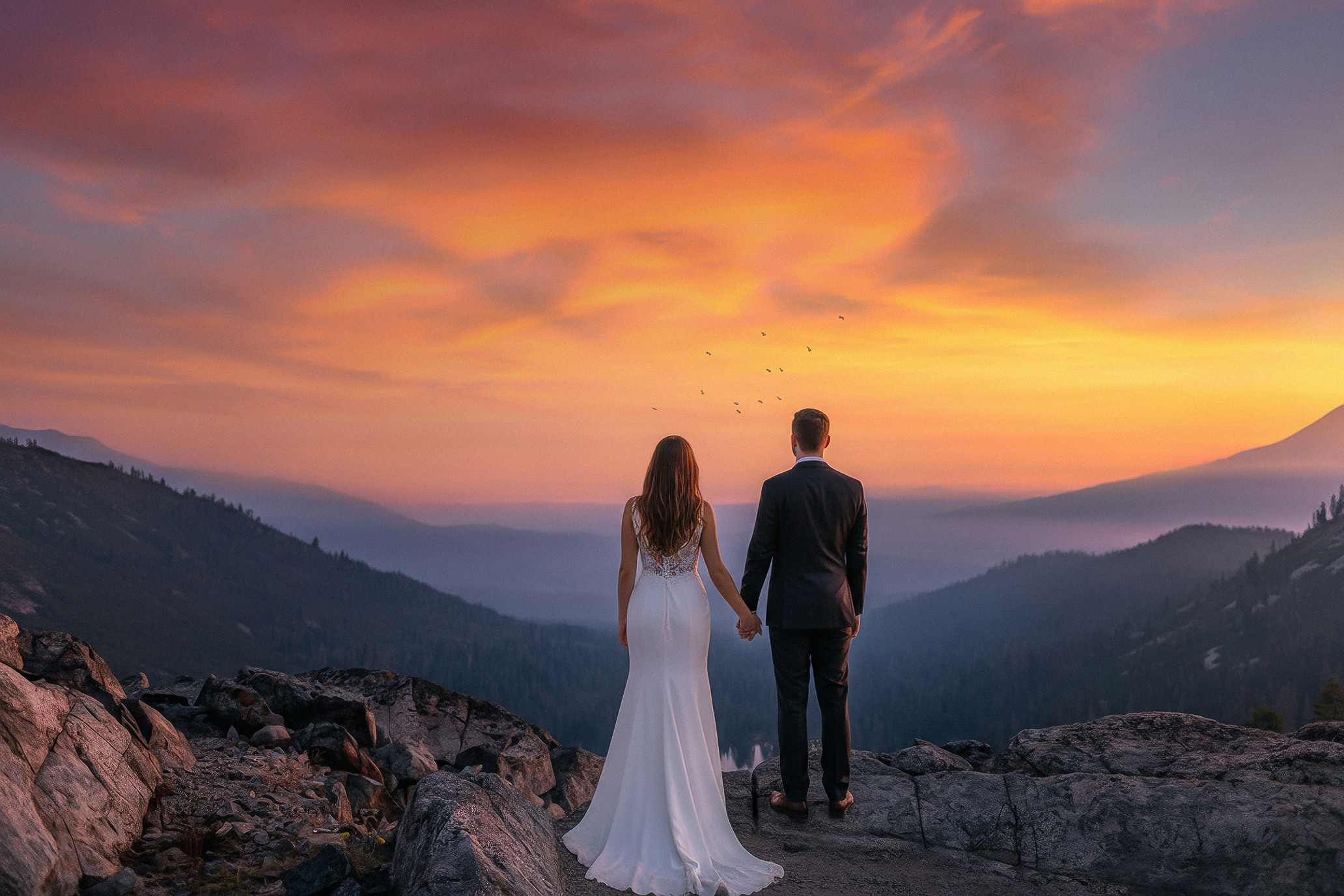 Gallery highlight 13